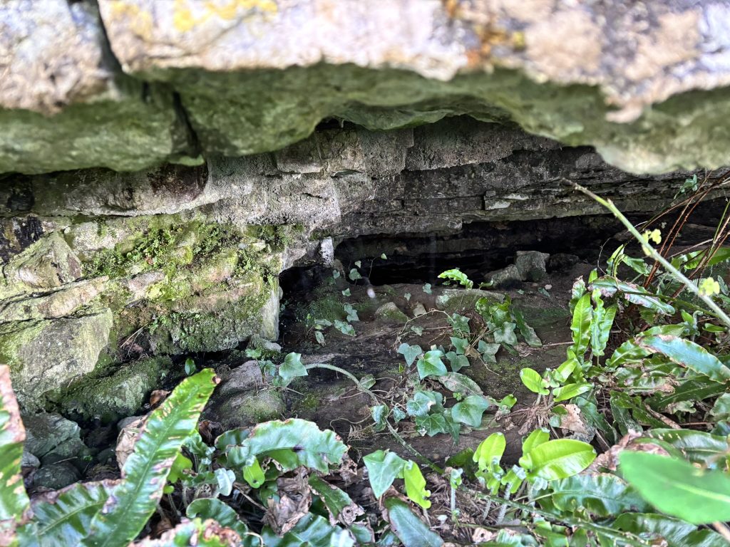 image from Inis Mor, related to writing and research